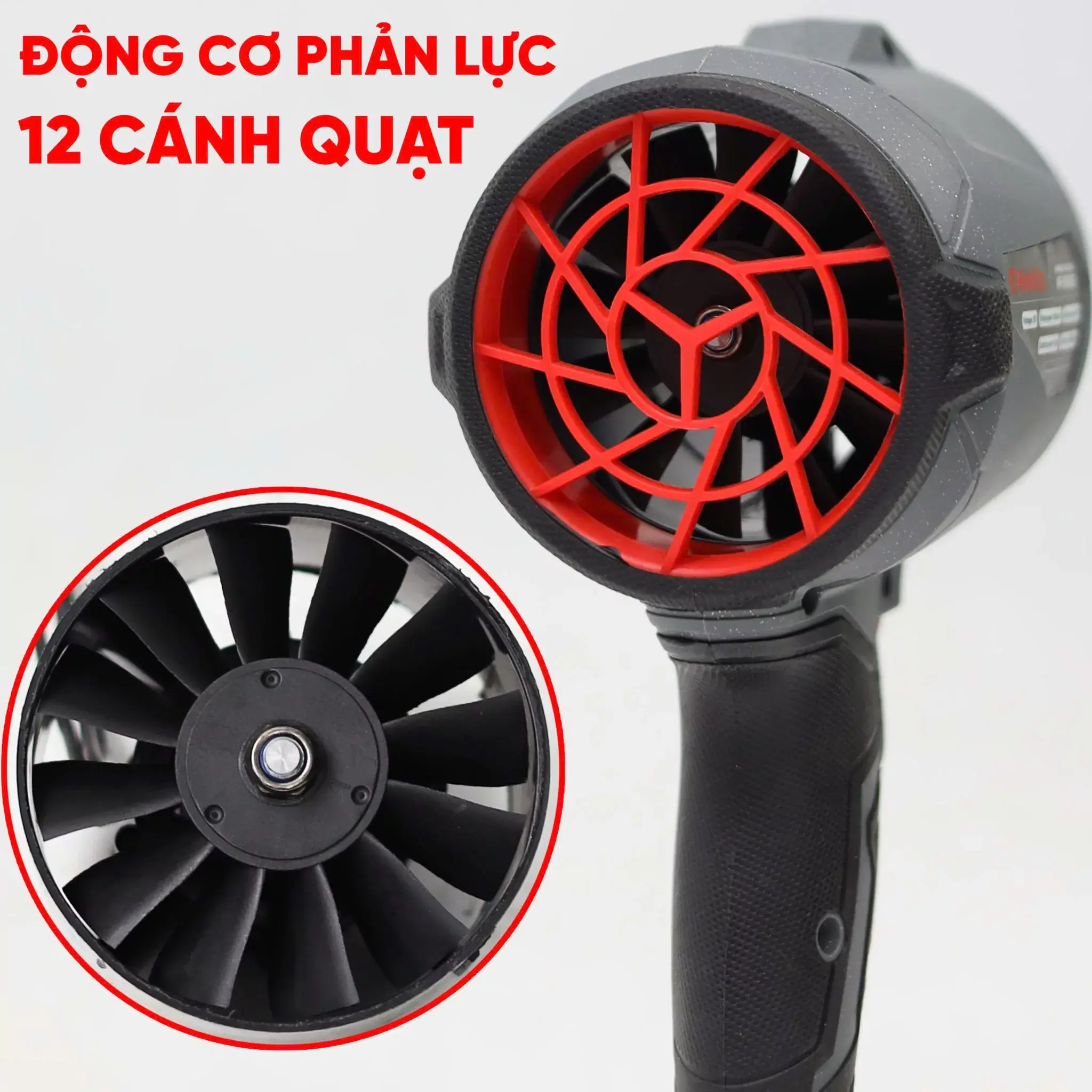 wf-bs1000g-3-2048x2048.webp